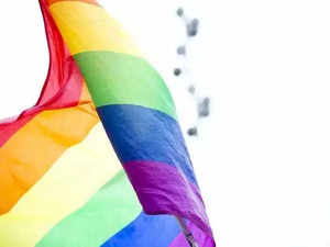 Senior leaders allies to LGBTQIA+ colleagues as India Inc drives inclusion at work