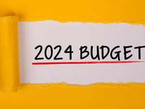 Budget: Govt panel to look into India's demographic challenges