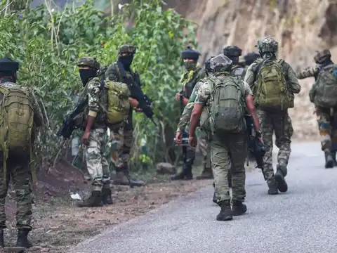Where are the terrorists?