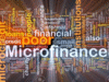 Microfinance market expands by a fourth in FY24 with asset quality showing significant improvement