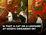 Leopard at Modi's swearing-in? Netizens spot mysterious feline shadow in Rashtrapati Bhavan