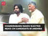 TDP supremo Chandrababu Naidu elected as NDA's chief ministerial candidate in Andhra Pradesh