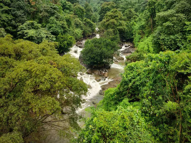 Wayanad, Kerala