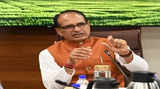 Shivraj Singh Chouhan chalks out 100-day plan to revive agriculture sector