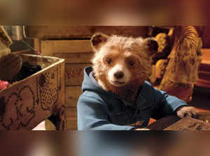 Paddington in Peru: See the exciting trailer, release date, plot, cast and production team