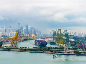 Singapore port container logjam worsens as ships avoid Red Sea:Image