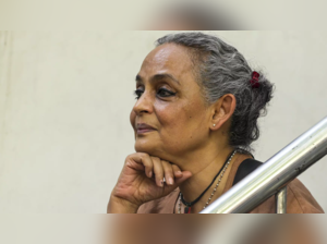 Arundhati Roy (PTI)