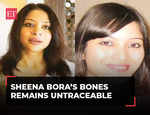 'Biggest blunder…': Indrani Mukerjea's lawyer after Sheena Bora's bones remain untraceable