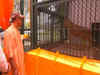 CM Yogi releases Asiatic Lion pair 'Bharat' and 'Gauri' in Gorakhpur Zoo