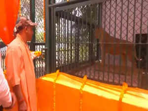 CM Yogi releases Asiatic Lion pair 'Bharat' and 'Gauri' in Gorakhpur Zoo