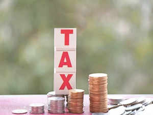 Budget 2024: Fin Min considering income tax rate cuts to boost consumption:Image