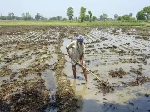 Krishi Sakhis