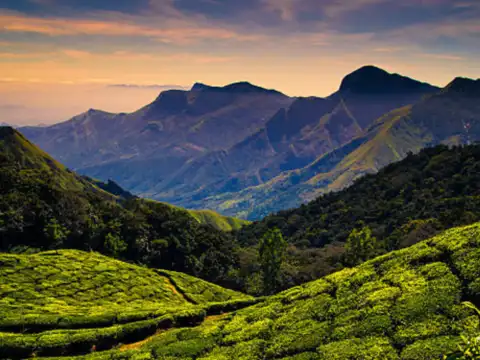 Kodaikanal