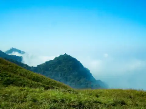 Wayanad