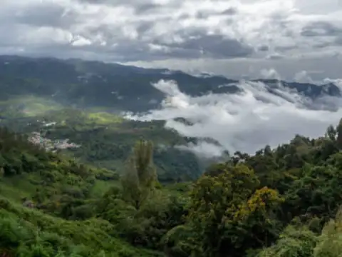 Coonoor