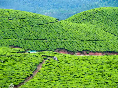 Madikeri