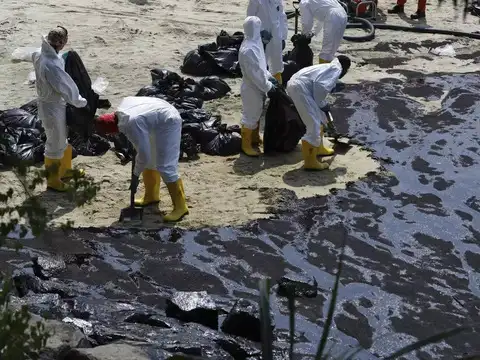 Impact on Marine Wildlife