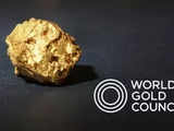 Central banks around the world have positive outlook on gold, according to World Gold Council survey