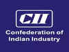 CII pitches for marginal tax relief for individuals, higher wages under MNREGA in Budget