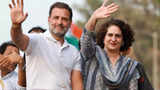 'My friend, argumentative guide, leader ': Priyanka Gandhi's birthday message for brother Rahul