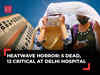 Heatwave horror: 5 dead, 12 critical in Delhi as NCR reels under intense heat