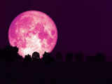 Strawberry Moon 2024: What is it? Date, time; Will strawberry moon be visible from India?