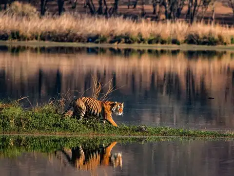 Kanha National Park, Madhya Pradesh