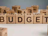 Budget 2024 FAQs: Quick guide on how to read and understand the Budget 1 80:Image