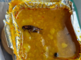 Cockroach found in food served in Vande Bharat train. IRCTC apologises