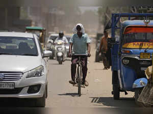 India Heatwave Deaths