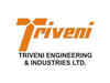Triveni Engineering buys addl 36.34 pc stake in sugar firm Sir Shadi Lal Enterprises for Rs 45 cr
