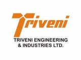Triveni Engineering buys addl 36.34 pc stake in sugar firm Sir Shadi Lal Enterprises for Rs 45 cr