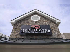 Red Lobster restaurants still open: Here are some major outlets still open even after company declared bankruptcy