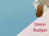 Union Budget 2024 date and time; Check answers to budget related questions and common FAQs here