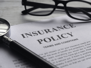 Under the basics of insurance policy