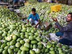 how-devgads-mango-farmers-are-saving-aam-amp-janata-with-tech