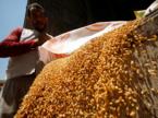 india-imposes-limits-on-wheat-stocks-may-cut-import-tax