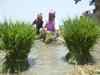 After Telangana's Rs 31,000 cr farm loan waiver, Punjab farmers reiterate similar demand