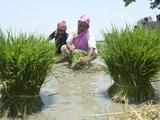 After Telangana's Rs 31,000 cr farm loan waiver, Punjab farmers reiterate similar demand