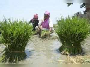With Telangana govt waiving farm loan, Pb farmers reiterate demand