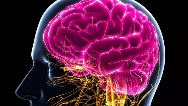 Here is how you can reduce your chances of developing Brain cancer