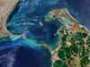 European Space Agency shares mesmerizing image of Ram Setu linking India and Sri Lanka