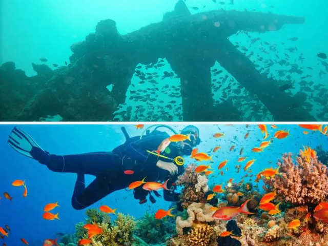 Popular Scuba Diving Sites To Explore