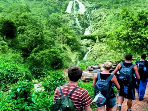 Go Trekking At Udaan Dongor
