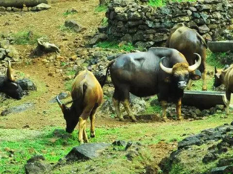 Explore The Wildlife