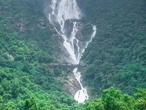 Enjoy The Seren​e Yet Majestic Dudhsagar Falls