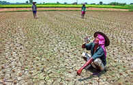 Rain deficit may spike food inflation further: Experts
