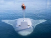 Manta Ray: US Navy's secret undersea drone spotted, then disappeared from Google Maps