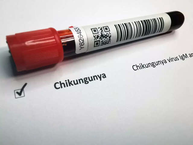 Chikungunya