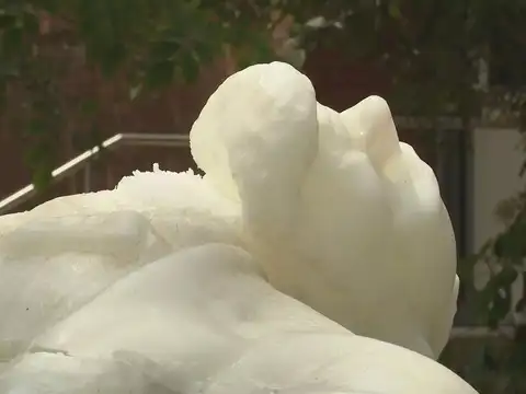 ​Headless statue​